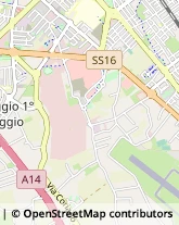 Viale Giovanni Pascoli, 49/A,47923Rimini