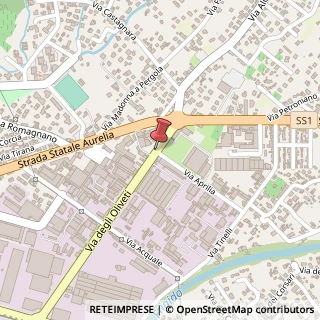 Mappa Via degli Oliveti,  3, 54100 Massa, Massa-Carrara (Toscana)