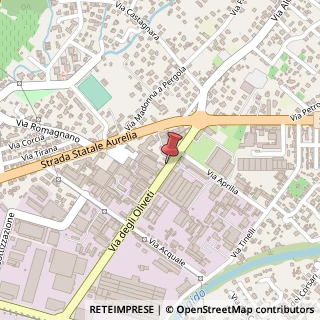 Mappa Via degli Oliveti, 20, 54100 Massa, Massa-Carrara (Toscana)