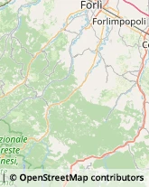 Assicurazioni Predappio,47016Forlì-Cesena