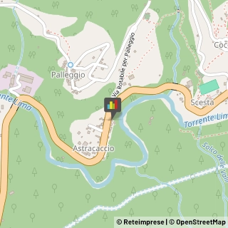 Aziende Agricole,55022Lucca