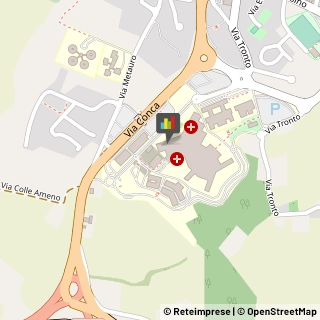 Angiologia - Medici Specialisti Ancona,60126Ancona