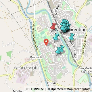 Mappa Via C. Manetti, 50051 Castelfiorentino FI, Italia (0.5005)