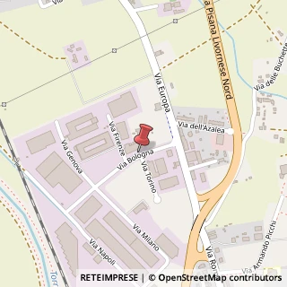 Mappa Via Gian Lorenzo Bernini, 80, 57014 Collesalvetti, Livorno (Toscana)