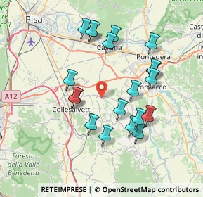 Mappa Via Aldo Moro, 56040 Collesalvetti LI, Italia (7.3505)