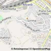 Kart Ancona