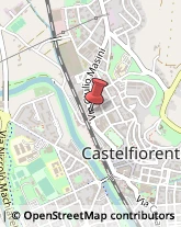 Via G. Masini, 65,50051Castelfiorentino