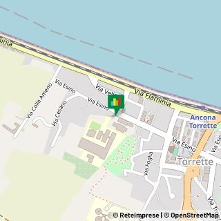 Via Esino, 42,60126Ancona