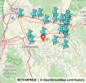 Mappa Via Giovanni Falcone, 56040 Collesalvetti LI, Italia (8.354)