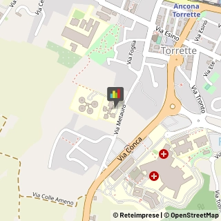 Informatica - Scuole,60015Ancona