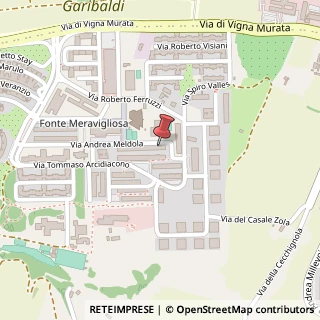 Mappa Via Andrea Meldola, 206, 00143 Roma, Roma (Lazio)