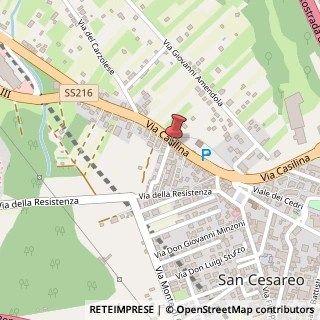 Mappa Via Casilina, 214, 00030 San Cesareo, Roma (Lazio)