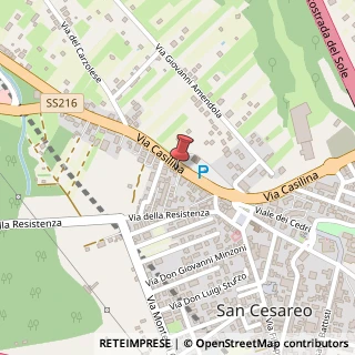 Mappa Via Casilina, 228, 00030 San Cesareo, Roma (Lazio)