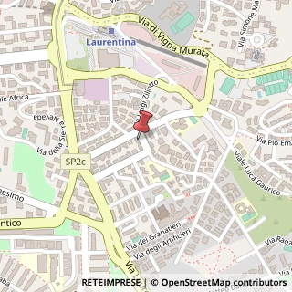 Mappa Via della Divisione Torino, 6, 00143 Roma, Roma (Lazio)