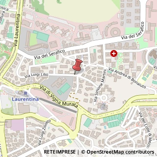 Mappa Via Luigi Lilio, 109, 00142 Roma, Roma (Lazio)