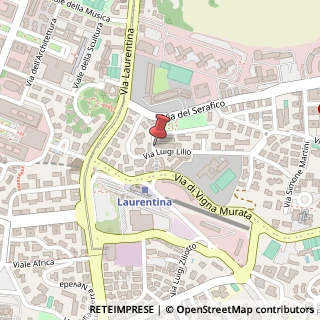 Mappa Via Luigi Lilio, 25, 00142 Roma, Roma (Lazio)