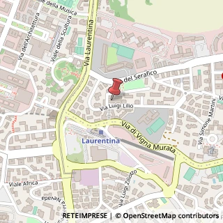 Mappa Via Luigi Lilio, 33, 00143 Roma, Roma (Lazio)
