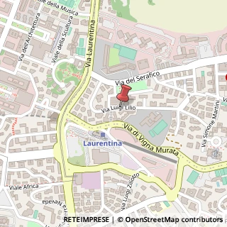 Mappa Via lilio luigi 81, 00142 Roma, Roma (Lazio)