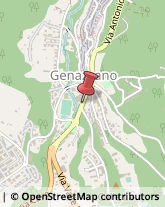 Via Trento e Trieste, 30,00030Genazzano