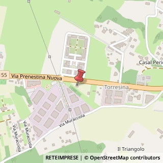 Mappa Via Prenestina Nuova, 307, 00036 Palestrina, Roma (Lazio)