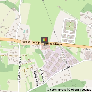 Palestre e Centri Fitness,00036Roma