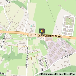 Bed e Breakfast Palestrina,00036Roma