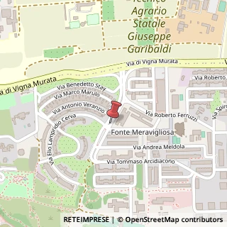 Mappa Viale Stefano Gradi, 125, 00143 Roma, Roma (Lazio)
