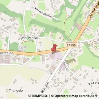 Mappa Via Prenestina Nuova, 255, 00036 Palestrina, Roma (Lazio)