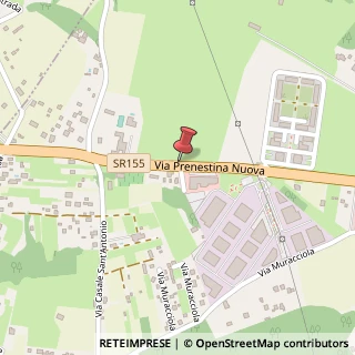 Mappa Via Prenestina Nuova, Km70.100, 00036 Palestrina, Roma (Lazio)