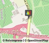 Prodotti da Snack Monte Porzio Catone,00040Roma