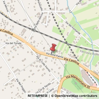 Mappa Via delle palme, 17, 00030 San Cesareo, Roma (Lazio)
