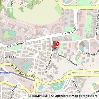 Mappa Via Andrea di Bonaiuto, 41, 00142 Roma, Roma (Lazio)