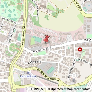 Mappa Via del Serafico, 43, 00142 Roma, Roma (Lazio)