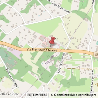 Mappa Via Prenestina Nuova, snc, 00039 Zagarolo, Roma (Lazio)