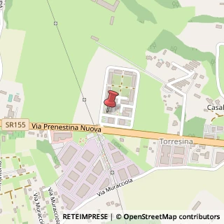 Mappa Via L. Spallanzani, 17, 00036 Palestrina, Roma (Lazio)