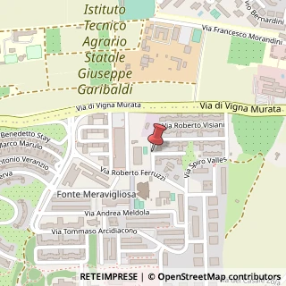 Mappa Via Roberto Visiani, 00143 Roma RM, Italia, 00143 Roma, Roma (Lazio)