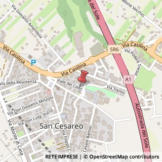 Mappa Viale dei cedri 77/b, 00030 San Cesareo, Roma (Lazio)