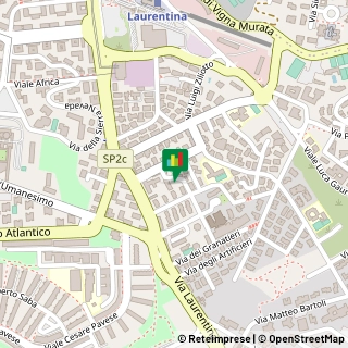 Via Icilio Bacci, 2C/D/E,00155Roma