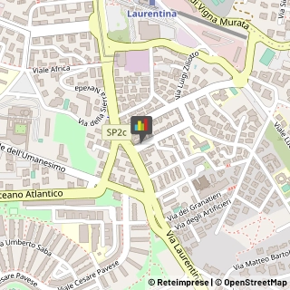 Calzature - Dettaglio,00143Roma