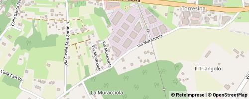 Mappa Palestrina