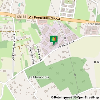Via Prenestina Nuova, 307/A, 00036 Palestrina RM, ,00036Palestrina