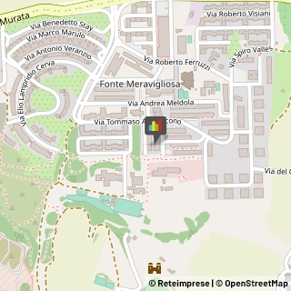 Odontoiatria - Forniture e Apparecchi,00143Roma