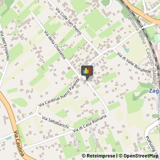 Palestre e Centri Fitness,00030Roma