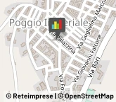 Associazioni Sindacali,71010Foggia