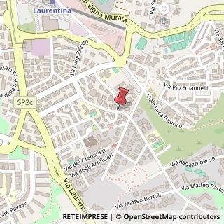 Mappa Via della Divisione Torino, 80, 00143 Roma, Roma (Lazio)