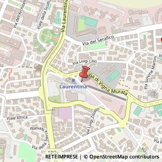 Mappa Viale Luca Gaurico, 9, 00143 Roma, Roma (Lazio)