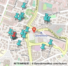 Mappa Via della Stazione Laurentina, 00143 Roma RM, Italia (0.291)