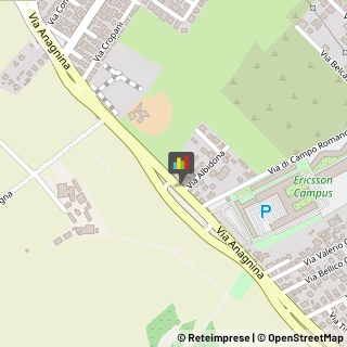 Autoveicoli Elettrici,00118Roma