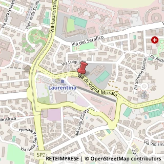 Mappa Viale Luca Gaurico, 9, 00143 Roma, Roma (Lazio)
