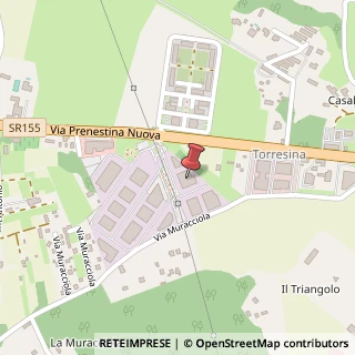 Mappa Via Prenestina Nuova, 307 /A, 00036 Palestrina, Roma (Lazio)